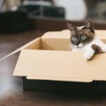 アマゾンで返品し過ぎで垢BANされたｗｗｗｗｗｗｗｗｗｗ