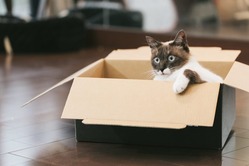 アマゾンで返品し過ぎで垢BANされたｗｗｗｗｗｗｗｗｗｗ