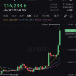 【速報】ビットコイン1,700万円突破！ドル建てでは117,000ドル突破し史上最高値更新するwwwwwwwwww【BTC】