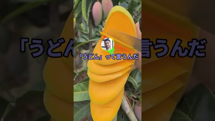 【仰天】ワイ「DQNネームのおかげで強くなった」→笑わないから言ってみな