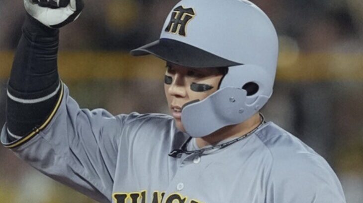 今日の戦犯を梅野隆太郎に挙げてる奴いるけど今日の梅野は何も悪くないだろ