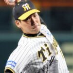 岩崎優『33登板 32回 1.69』←こいつが不安視されてる理由