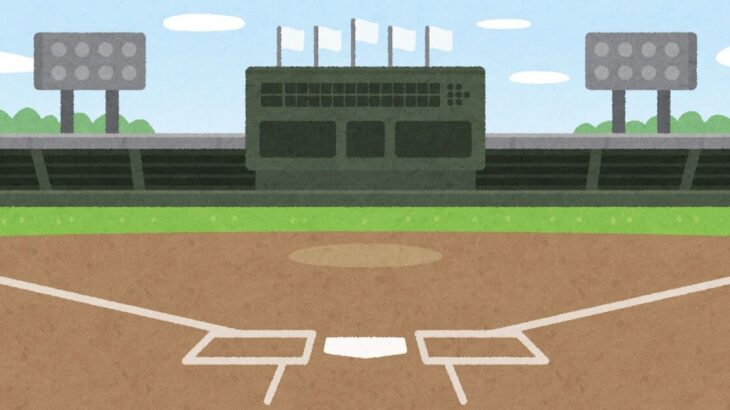 夏の甲子園で史上初…  “女子高校生”が始球式の大役！　「甲子園！？と聞き返してしまうほど驚いた」