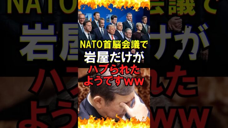【衝撃】NATO首脳会議で、岩屋だけがハブられたようですww