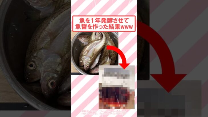 【衝撃】釣った魚を1年発酵させて魚醤を作った結果www