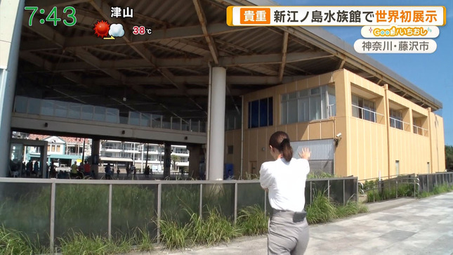 荒井理咲子アナ　ピタパンのお尻に食い込むパン線レポート！！【GIF動画あり】