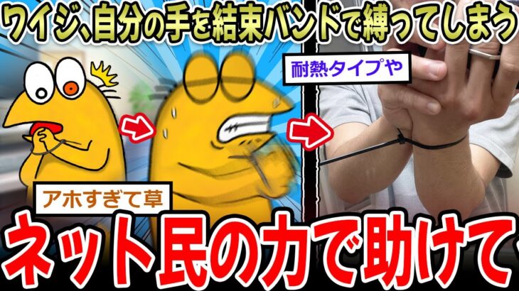 【動画】ワイジ、結束バンド手首縛ったら抜けなくなる助けて