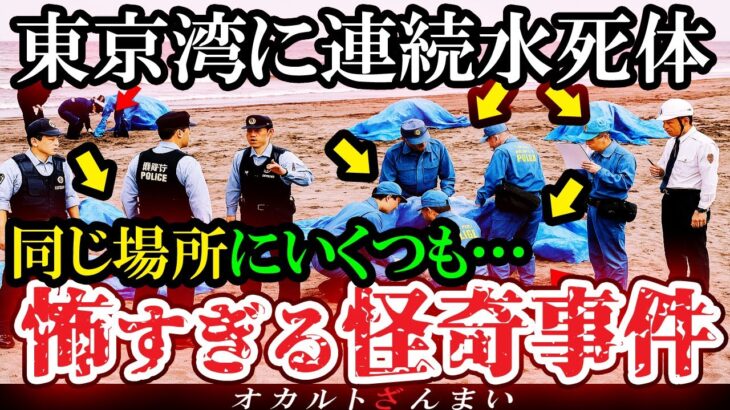 【動画】[非常事態]テレビが報道しない…東京湾沿岸で身元不明の水●体が連続発見された怖すぎる怪奇事件5選を考察
