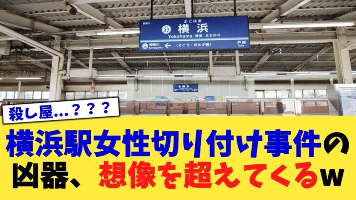 【驚愕】横浜駅女性切り付け事件の凶器、想像を超えてくるw