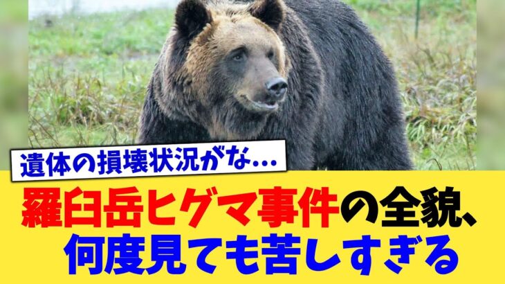 【動画】羅臼岳ヒグマ事件の全貌、何度見ても苦しすぎる
