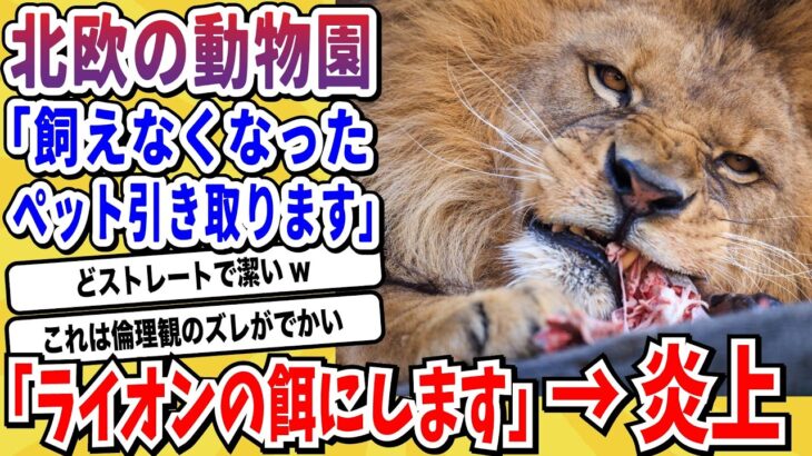 【マジかよ】海外で大炎上している「動物園・水族館」がヤバすぎるwwwww