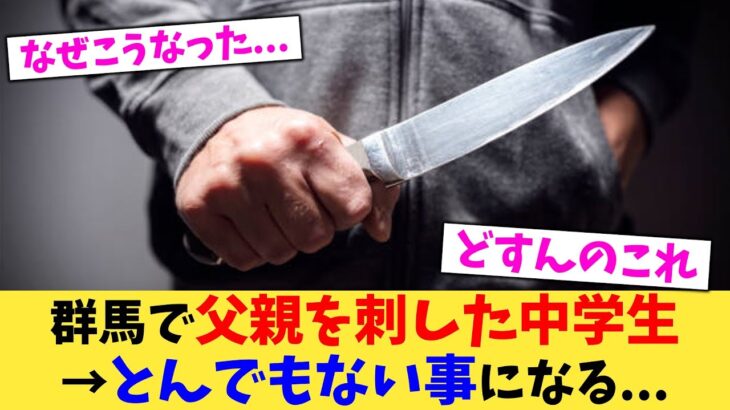 【動画】群馬で父親を刺した中学生→とんでもない事になる…