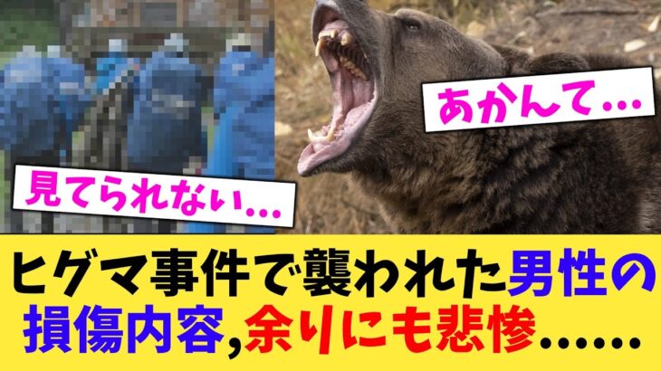 【仰天】ヒグマ事件で襲われた男性の損傷内容,余りにも悲惨……