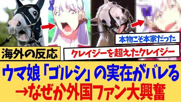 【驚愕】海外「え!?ゴールドシップって実在する馬だったのか!?」ウマ娘の影響でゴルシの実在が世界にバレ、海外ニキネキが騒然w