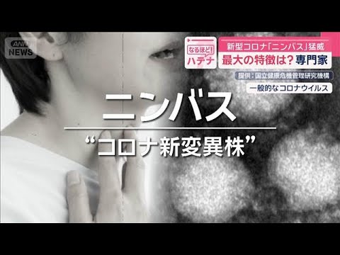 【必見】新型コロナ変異株「ニンバス」の感染症状とは？