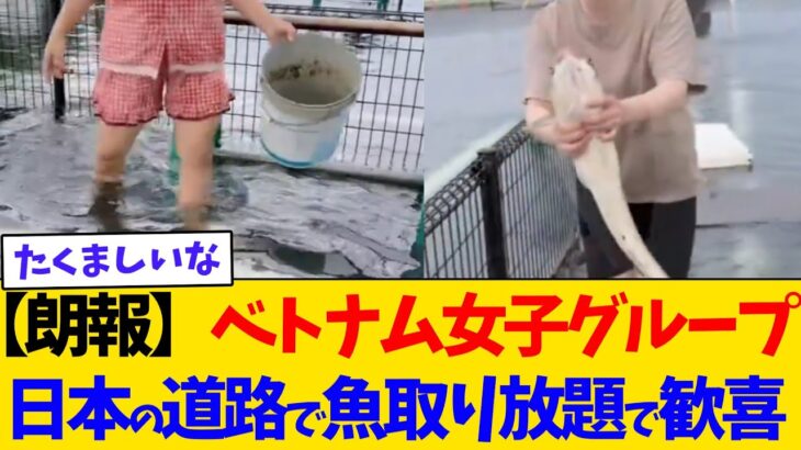 【驚愕】ベトナム女子「キャー!日本の道路で魚が取り放題✨」