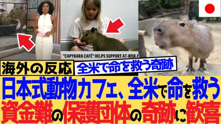 【動画】「日本式動物カフェ、全米で命を救う」 資金難の保護団体の奇跡に歓喜