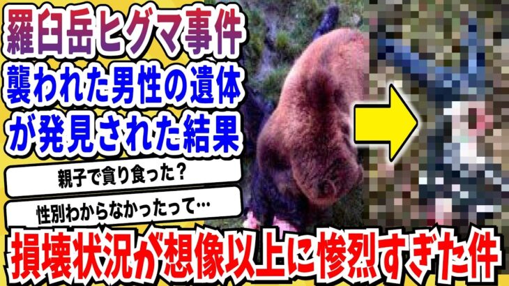 【衝撃】閲覧注意…羅臼岳ヒグマ事件ガチで怖すぎる…