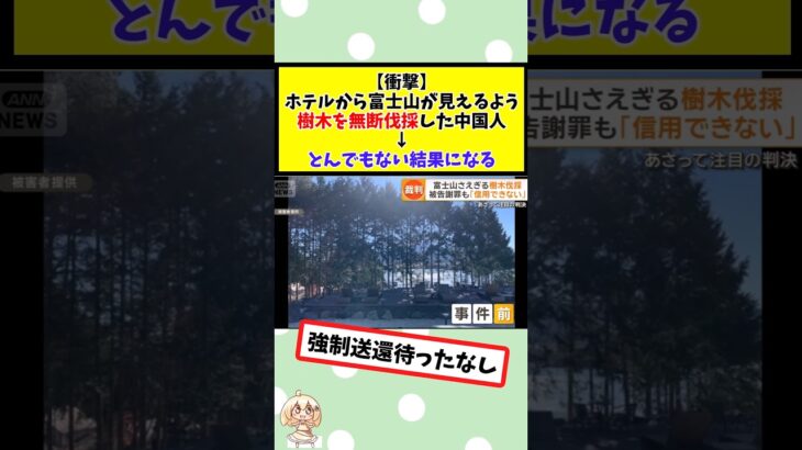 【衝撃】ホテルから富士山が見えるよう樹木を無断伐採した中国人、とんでもない結果になる