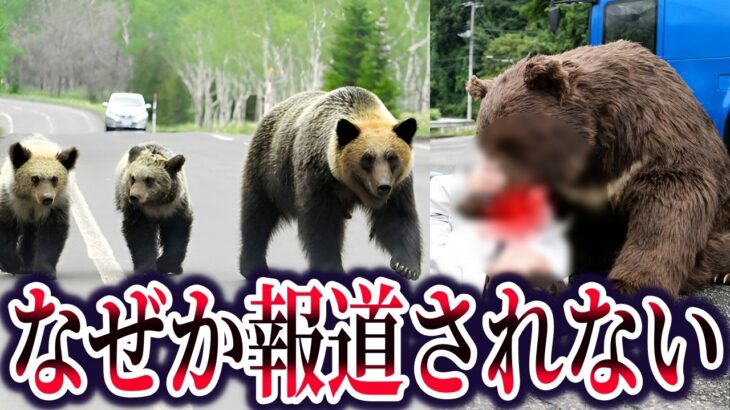 【マジかよ】羅臼岳ヒグマ襲撃事件の一部始終…テレビが報道しなかった真相