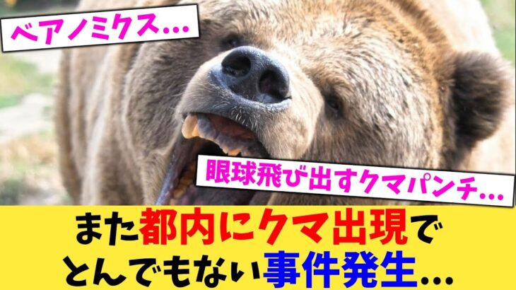 【驚愕】また都内にクマ出現でとんでもない事件発生…