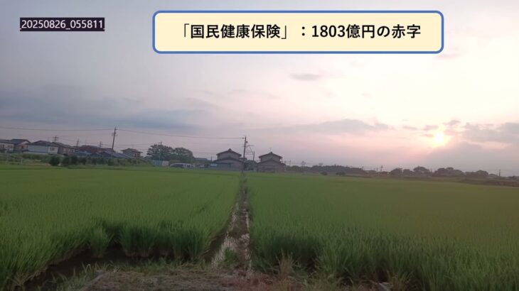 【悲報】はっ？国民健康保険が1803億円赤字ってどういうことやねん！
