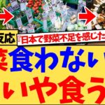 【驚愕】日本に2週間滞在した外国人が『野菜が少ない国では?』と疑問→しかし多くの外国人が、『むしろ他の国よりおいしい野菜に囲まれてる感覚がある』と絶賛した驚きの理由