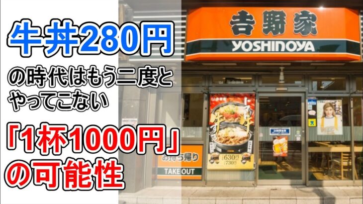 【悲報】牛丼280円は夢のまた夢やんけ…1000円の時代到来か？