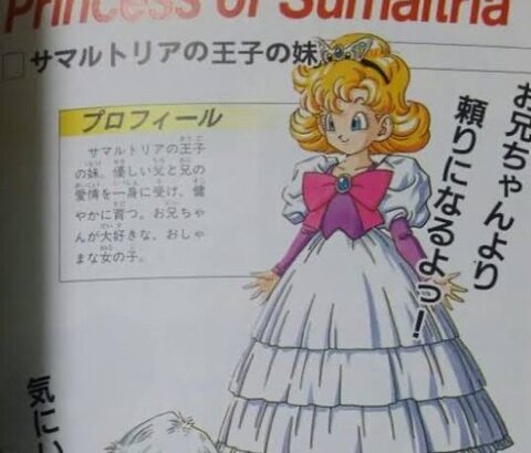 【悲報】サマルトリアの王女、変わり果てた姿で発見される