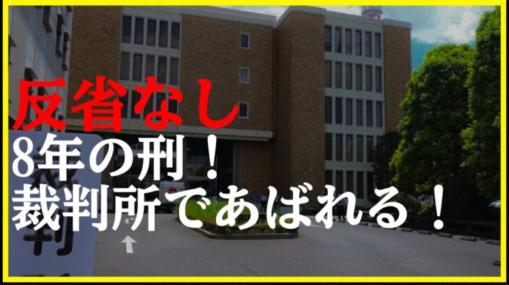 【必見】クルド人男性に懲役8年判決、法廷騒然の理由とは？