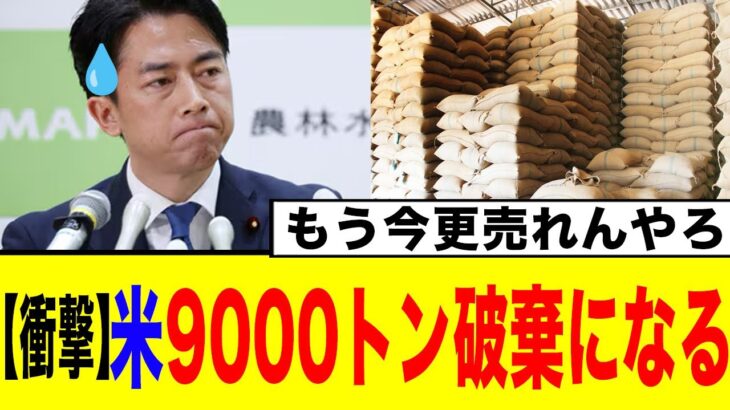 【衝撃】小泉米大臣『米9000トン』も無駄にする!←「池で遊んでる場合じゃないww」