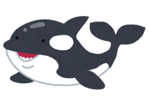 国内唯一のオスのシャチ死ぬ 名古屋の水族館で飼育
