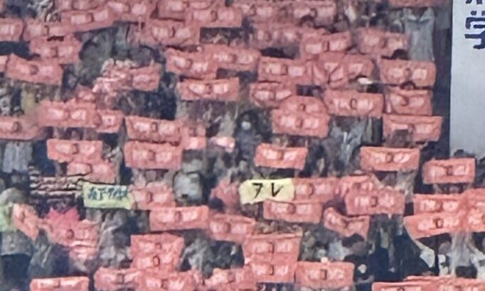長嶋追悼試合の『とある阪神ファン』の行動が炎上か。これどう思う？