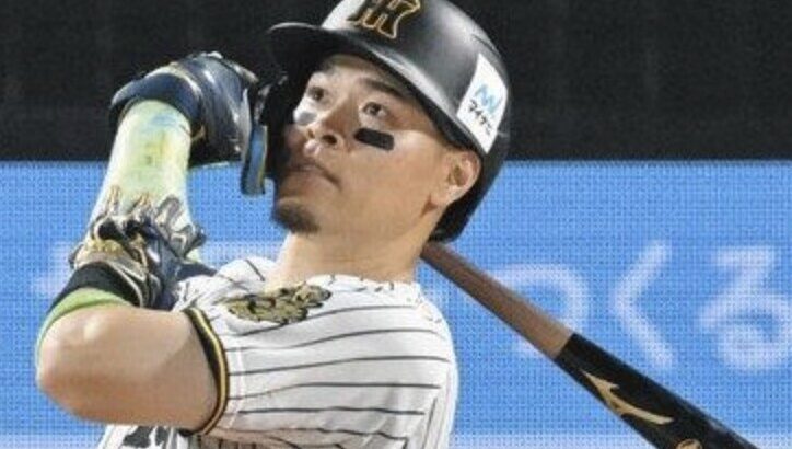 佐藤輝明 打率.289(セ3位) 31本(セ1位)　76打点(セ1位)　長打率.607(セ1位) OPS.967(セ1位)