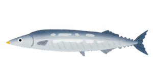 【鬼報】サンマ、一匹1000円の超高級魚へwww