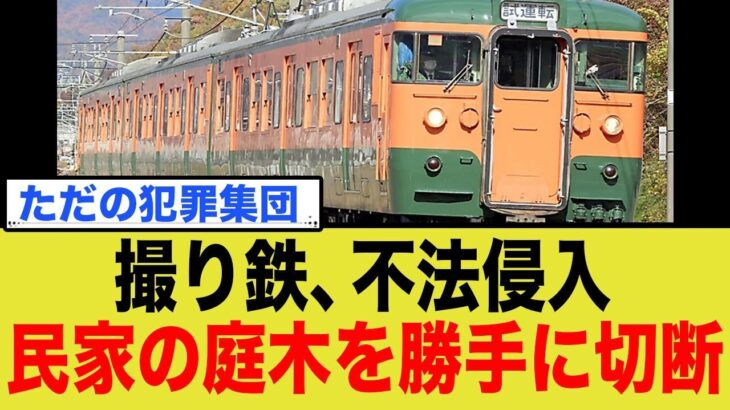 【社会】撮り鉄が引き起こした問題！115系運行予定発表中止の理由とは？