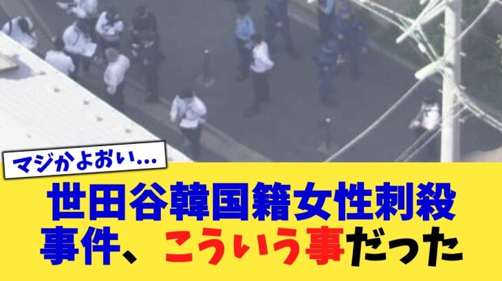 【驚愕】世田谷韓国籍女性刺殺事件、こういう事だった