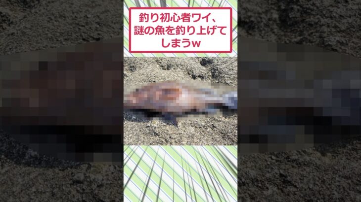 【衝撃】釣り初心者ワイ、謎の魚を釣り上げてしまうww