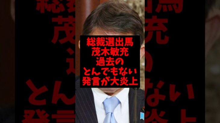 【衝撃】総裁選出馬の茂木敏充の過去のとんでもない発言が大炎上w