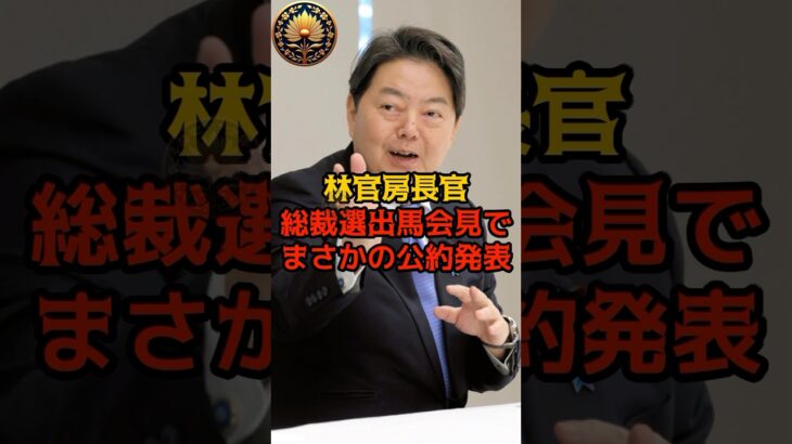 【マジかよ】林官房長官、総裁選出馬会見でまさかの公約発表!