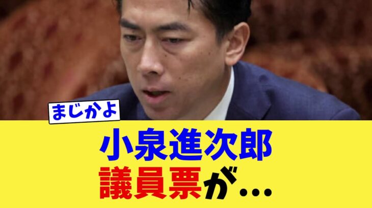 【衝撃】小泉進次郎の議員票が…あの政治記者が内情を暴露