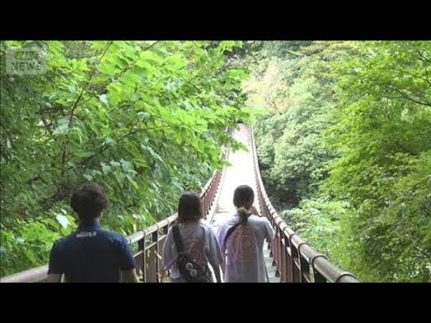 【話題】「東京の西」が注目される理由とは？移住先としての魅力を解説！