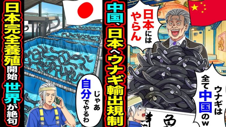 【マジかよ】中国が日本へのウナギを輸出規制「ウナギは全て中国のw日本にはやらん」→「じゃあ結構」日本がウナギの完全養殖を開始したら、世界が絶句