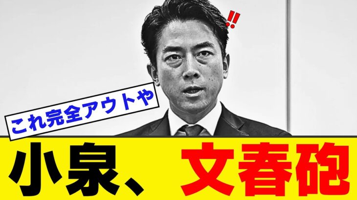 【動画】小泉進次郎、特大文春砲!大炎上で政治家生命終了!!!