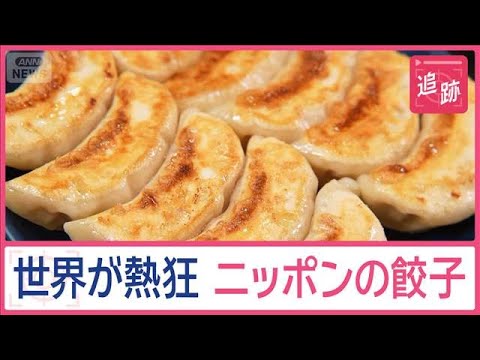 【必見】日本の餃子が世界を魅了する理由とは？