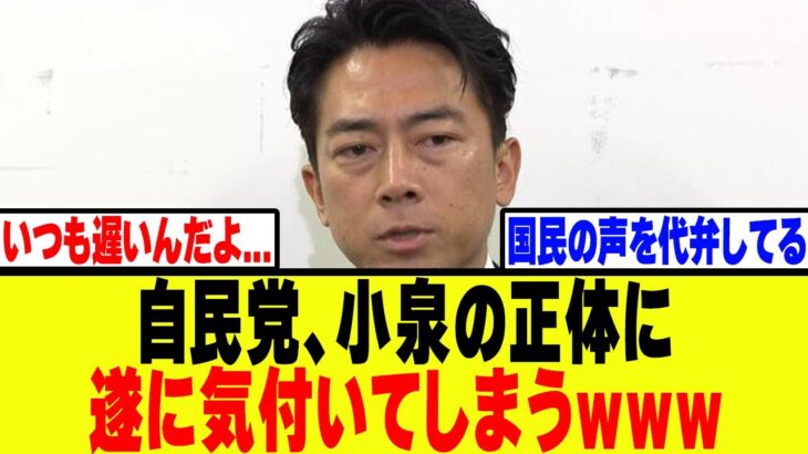 【衝撃】自民党旧安倍派議員、小泉の正体に遂に気付いてしまうwww