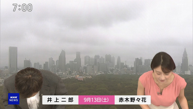 赤木野々花アナ　谷間がチラ見え！！【GIF動画あり】