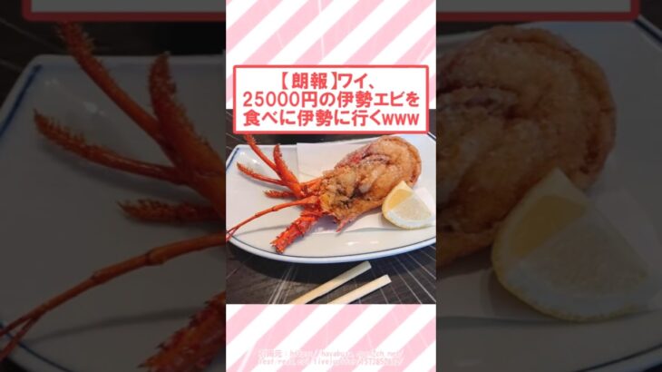 【マジかよ】ワイ、25000円の伊勢エビ食べに伊勢に行くwww