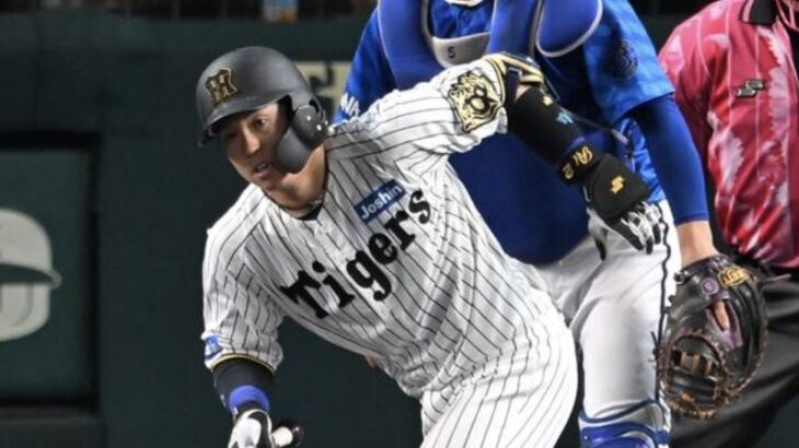 梅野隆太郎 8月と9月成績 打率.364(22-8) 0本 0点 出塁率.440 OPS.895wwwwwwww