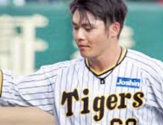 虎ファン『前川、豊田、中川を見てるせいで小野寺のレフト守備は…』→内容がこちら
